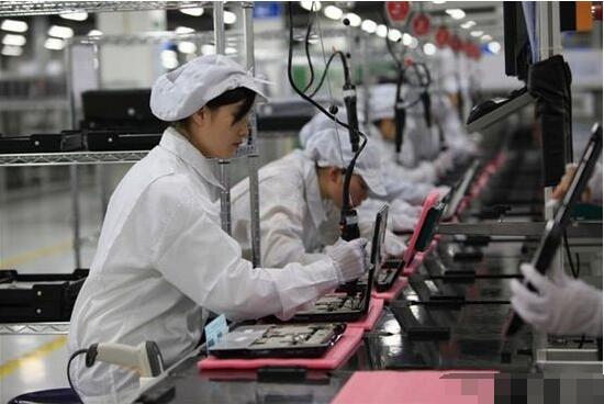 電子廠苦中作樂秘籍 上班養(yǎng)貓，快樂似神仙？